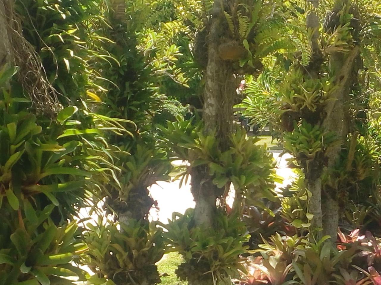 Ya Teng Homestay Ban Tha Sai Bagian luar foto