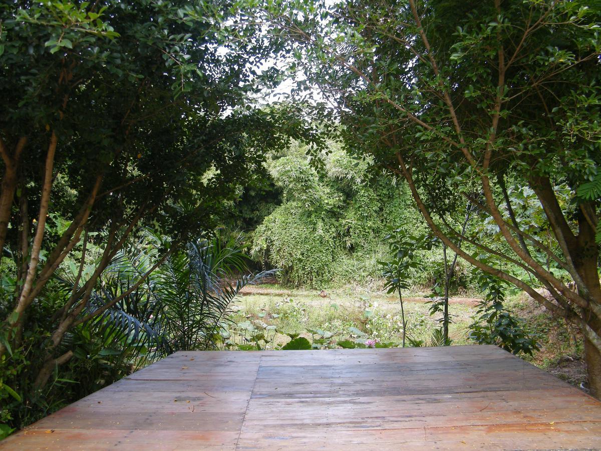 Ya Teng Homestay Ban Tha Sai Bagian luar foto
